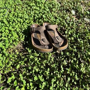 Birkenstock Gizeh Sandal Mocha